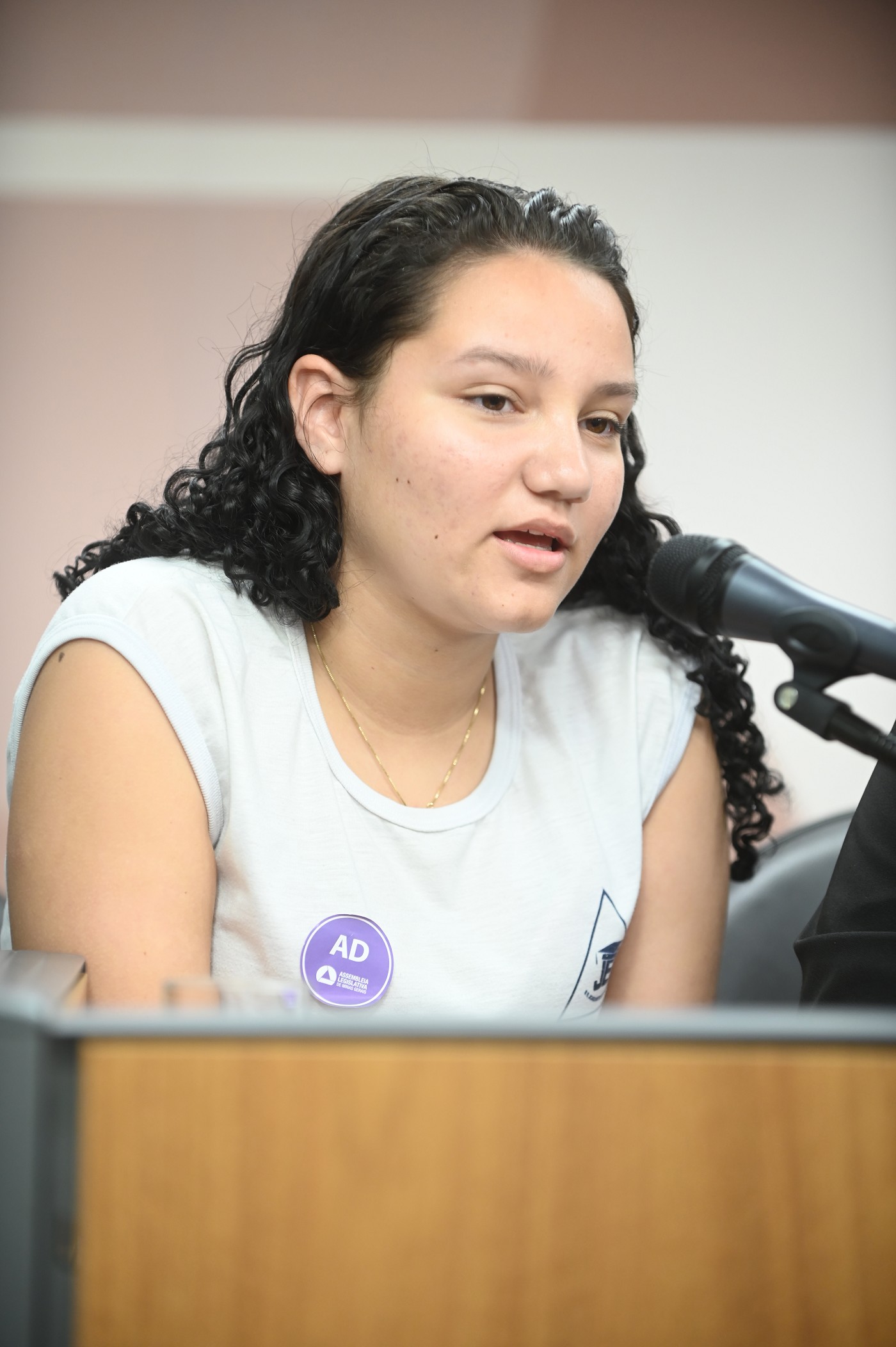 Comissão de Educação, Ciência e Tecnologia - debate sobre Construção de escola em Santana do Paraíso