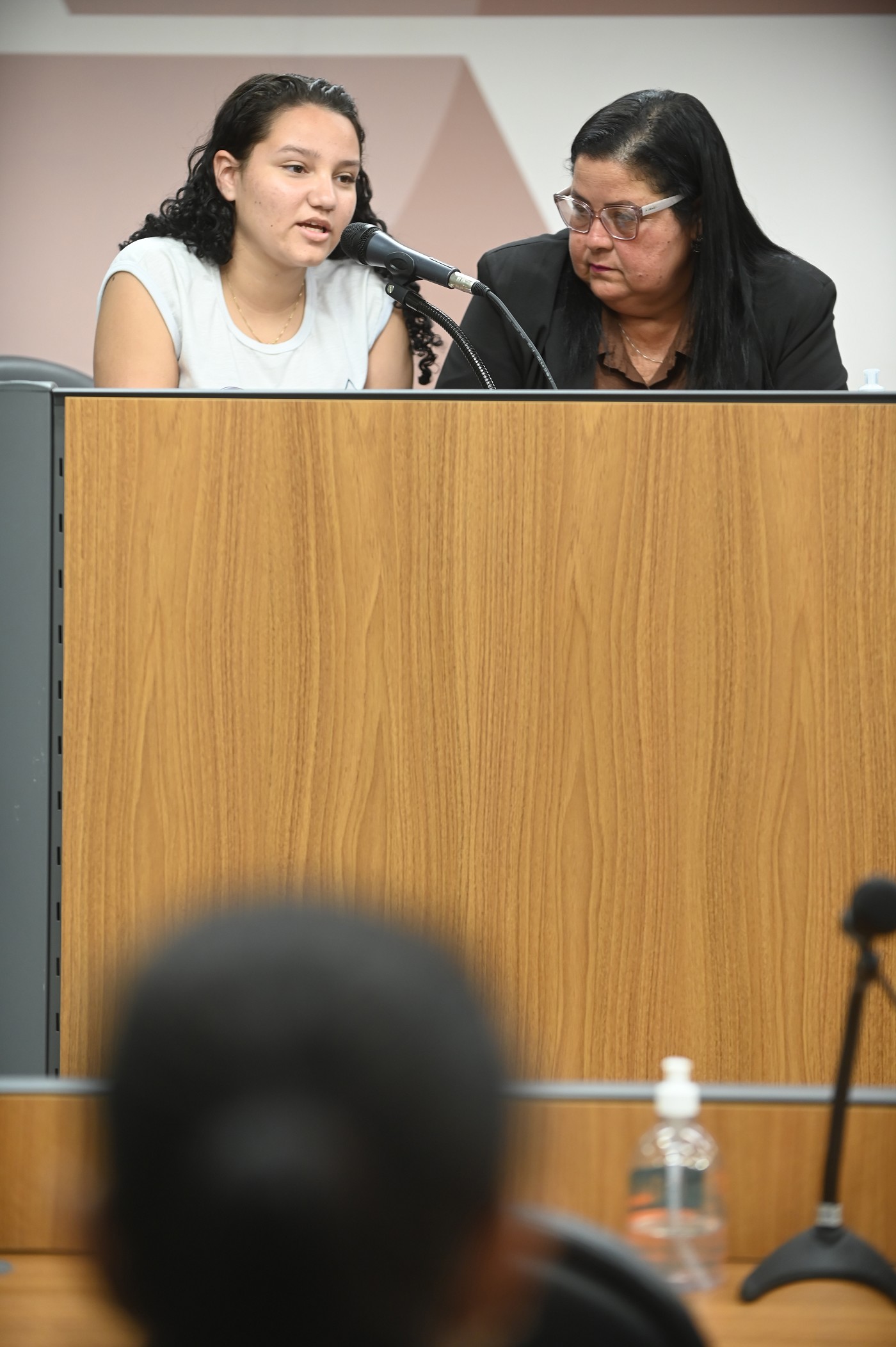 Comissão de Educação, Ciência e Tecnologia - debate sobre Construção de escola em Santana do Paraíso