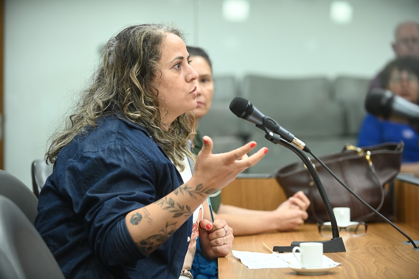 Comissão de Educação, Ciência e Tecnologia - debate sobre Construção de escola em Santana do Paraíso