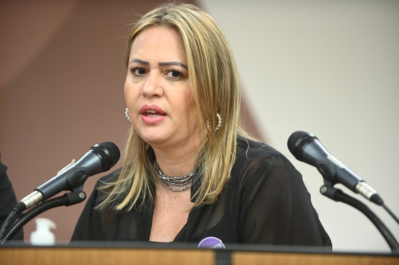 Comissão de Educação, Ciência e Tecnologia - debate sobre Construção de escola em Santana do Paraíso