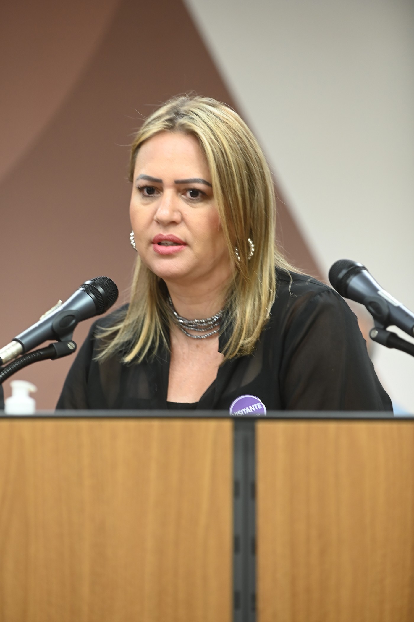 Comissão de Educação, Ciência e Tecnologia - debate sobre Construção de escola em Santana do Paraíso