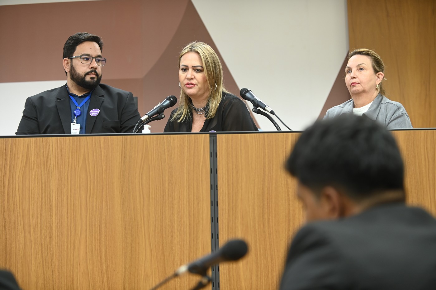 Comissão de Educação, Ciência e Tecnologia - debate sobre Construção de escola em Santana do Paraíso