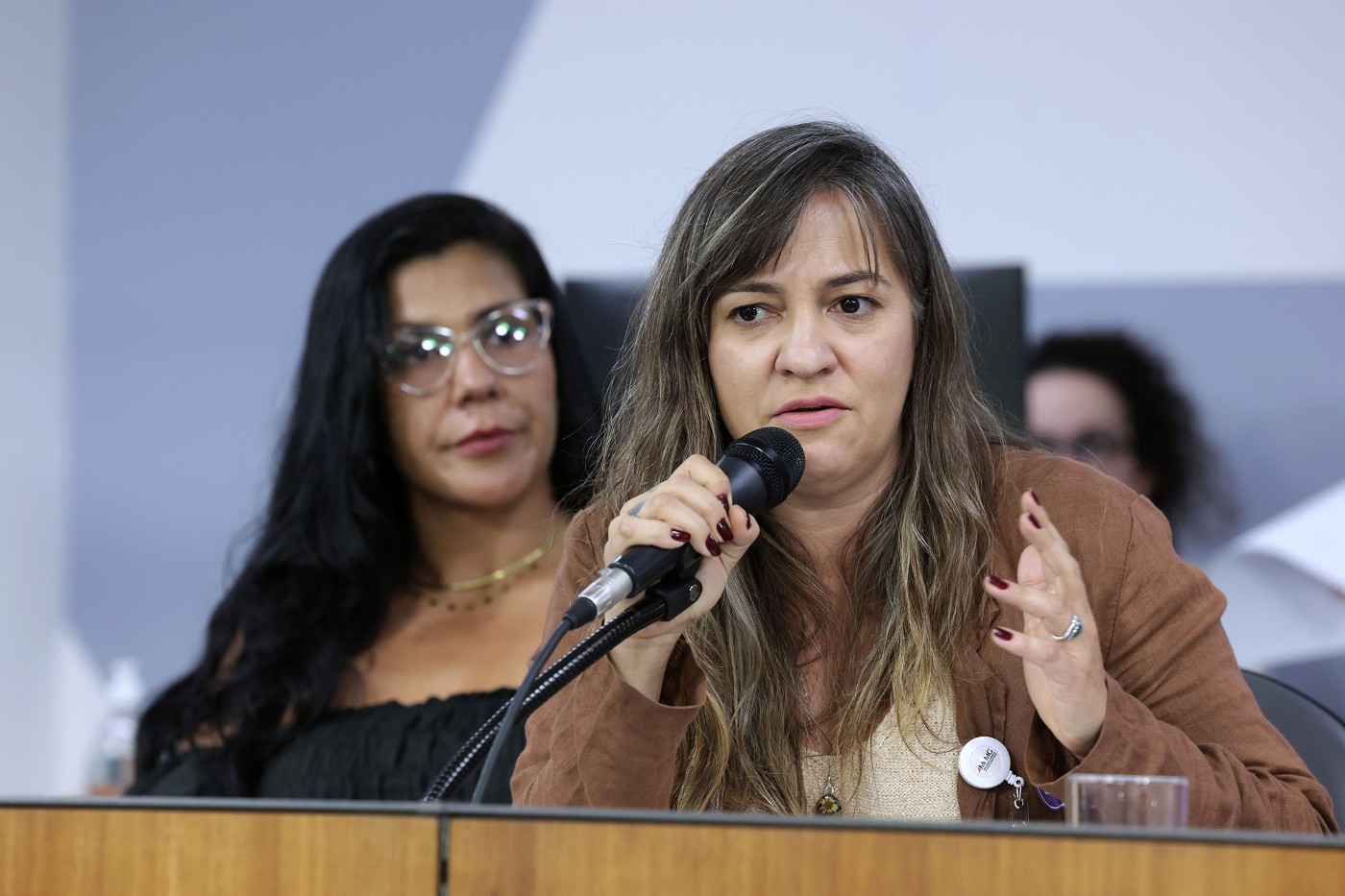 Comissão de Administração Pública - debate sobre a Lei Rafaela Drummond