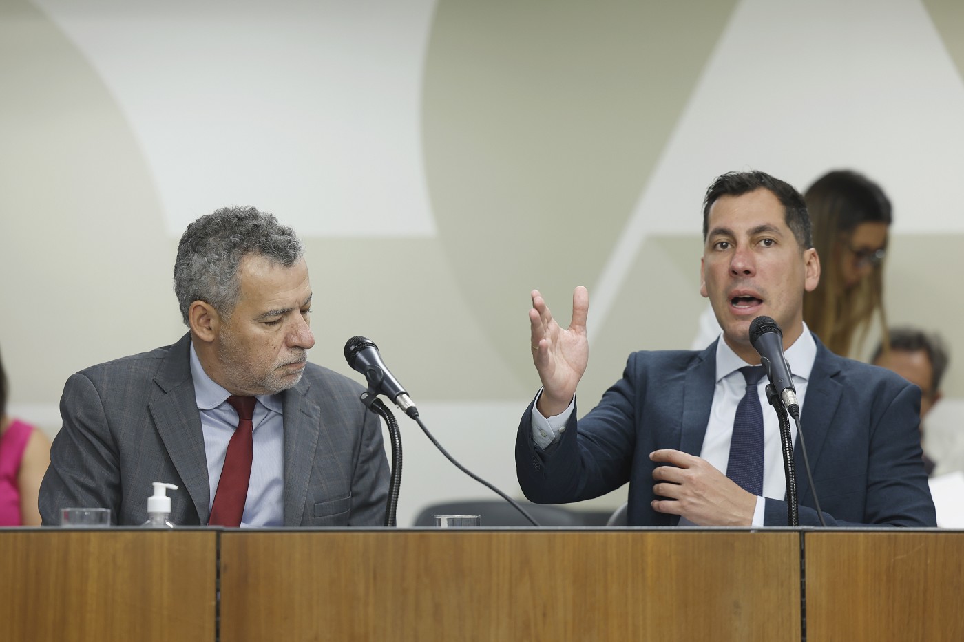 Comissão de Constituição e Justiça - análise de proposições