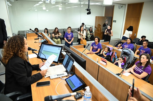 Comissão de Defesa dos Direitos da Mulher - debate sobre os impactos da Síndrome de Rett na vida das mulheres e das mães cuidadoras
