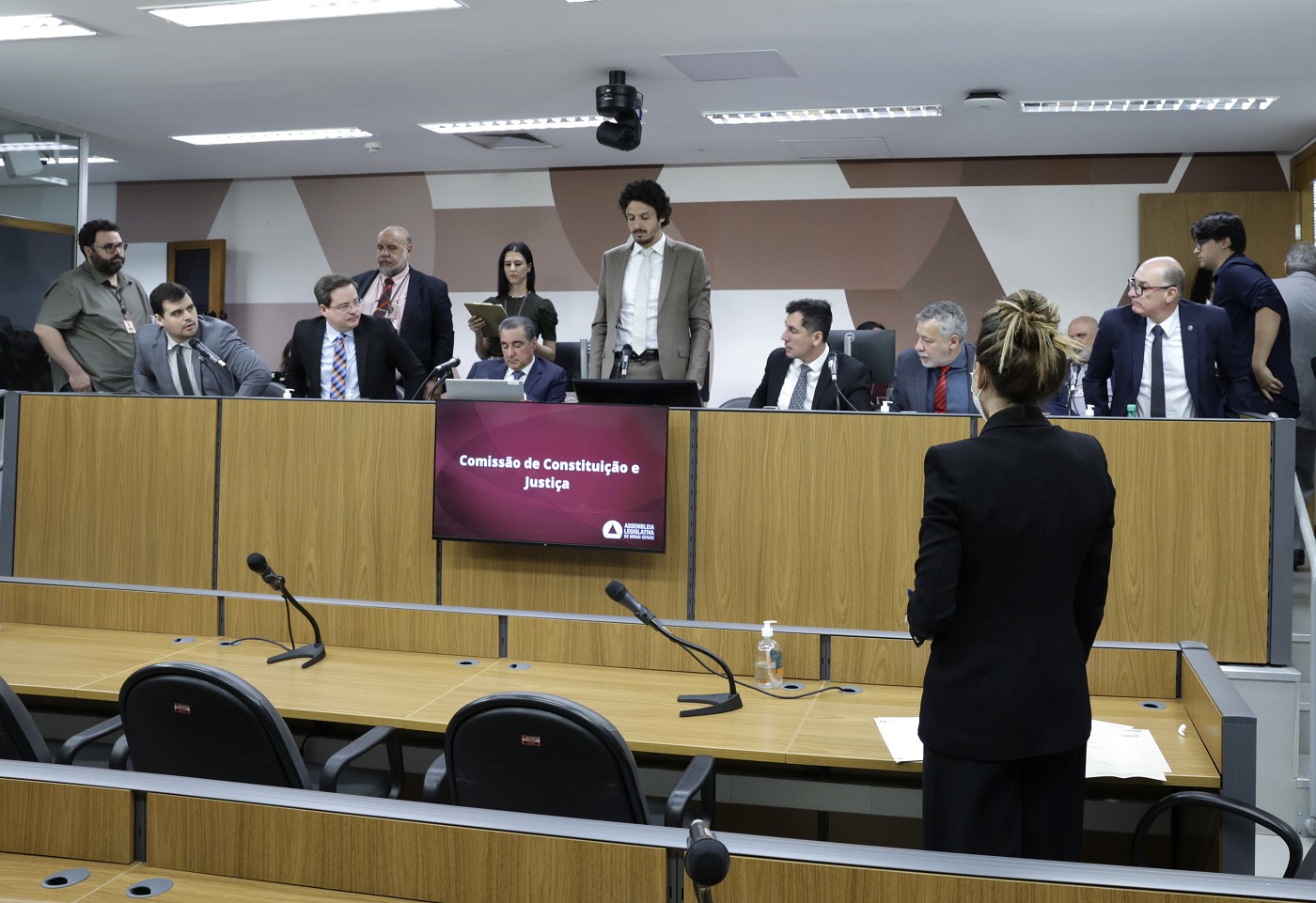 Comissão de Constituição e Justiça - análise de proposições