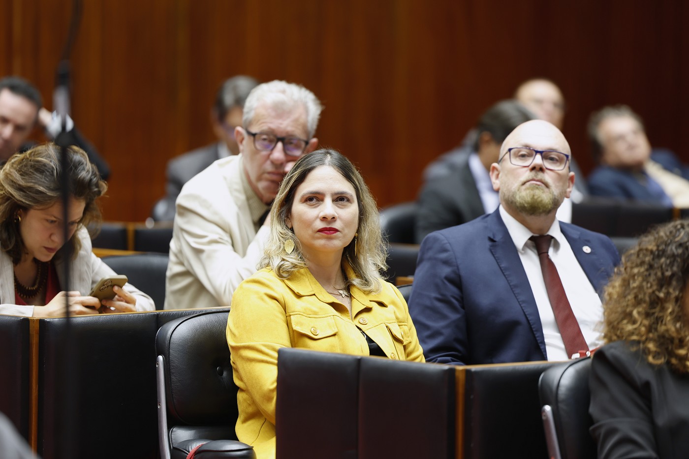Reunião Ordinária - tarde - análise de proposições
