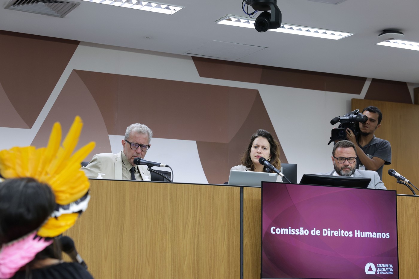 Comissão de Direitos Humanos - análise de proposições