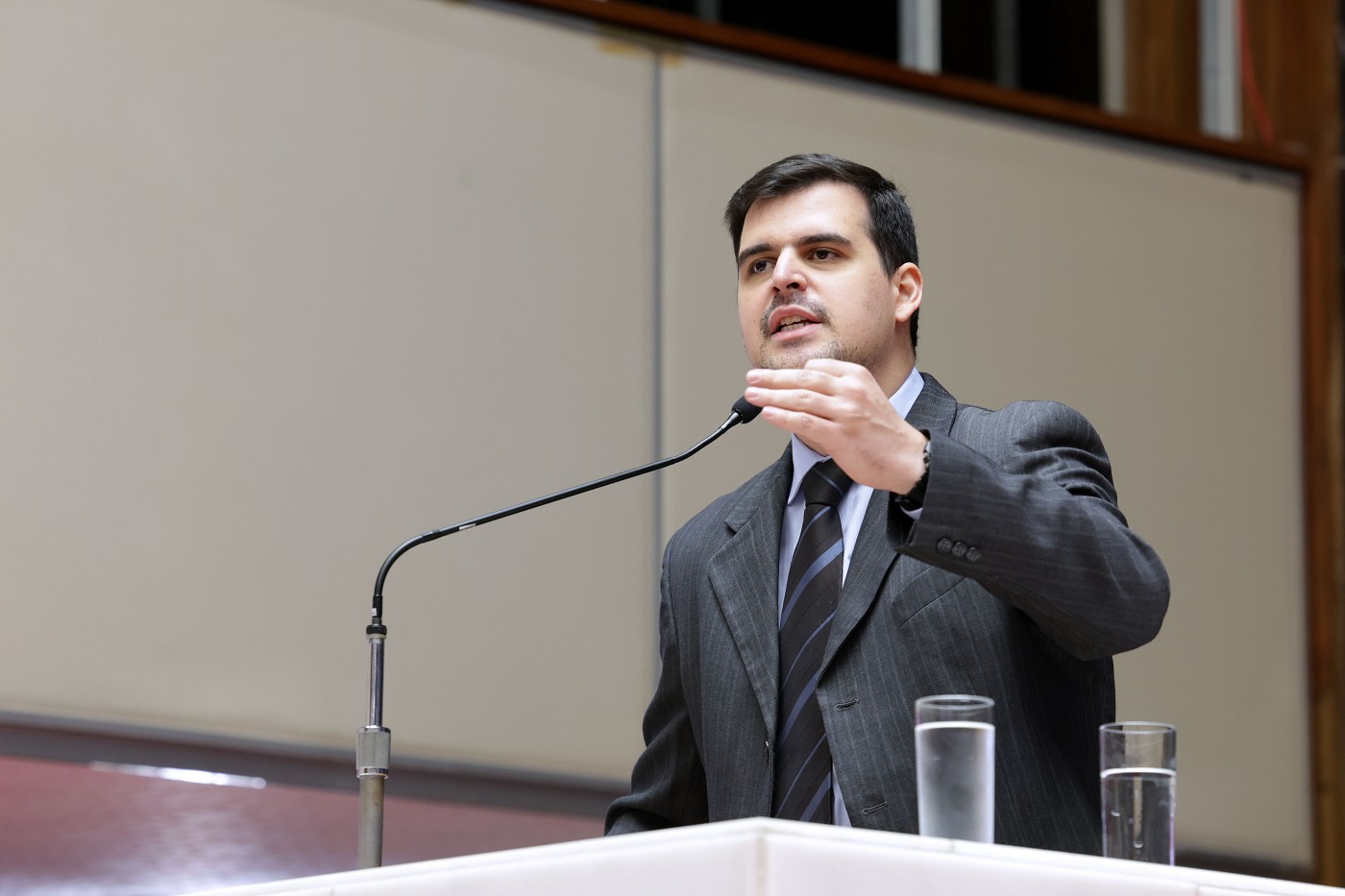 Reunião Ordinária de Plenário - tarde - análise de proposições