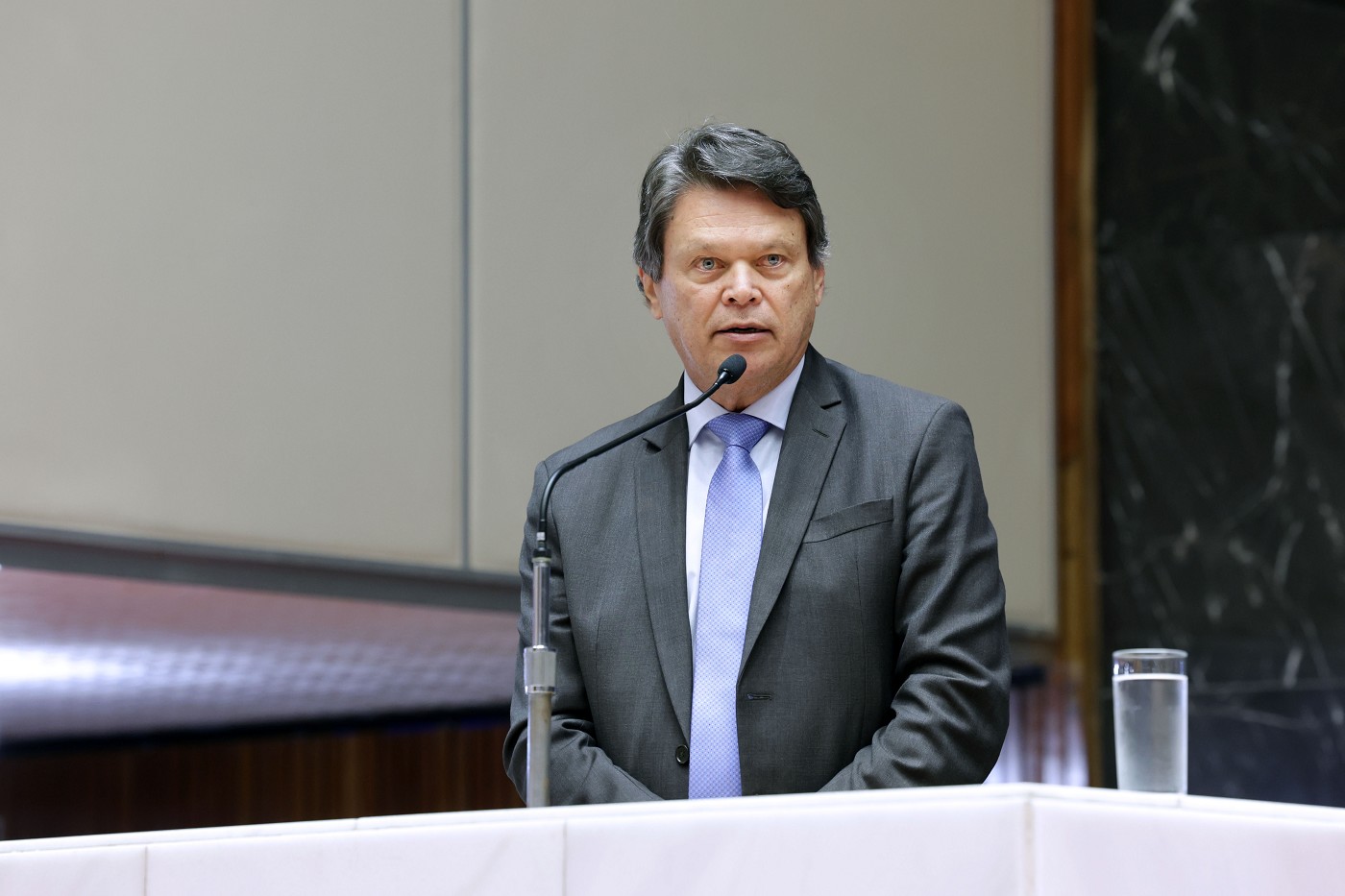 Reunião Ordinária de Plenário - tarde - análise de proposições