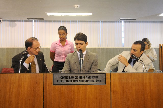 Projeto veda eliminação de cães e gatos por órgãos de controle de zoonoses e canis públicos