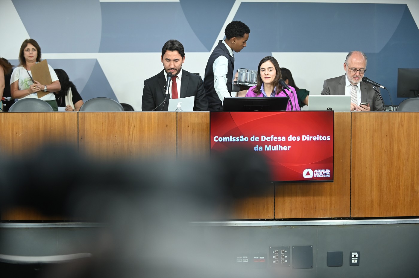 Comissão de Defesa dos Direitos da Mulher - análise de proposições