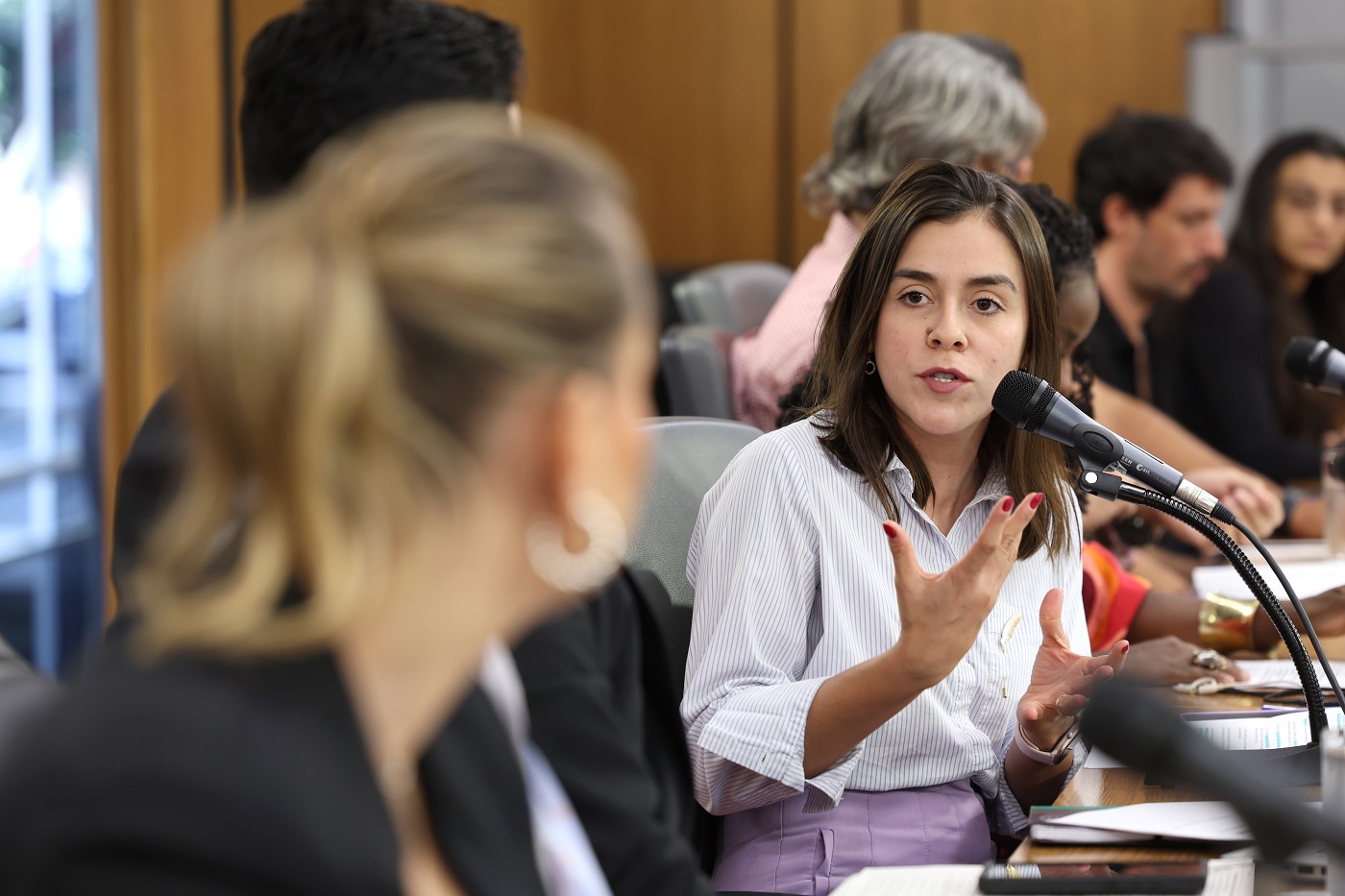 Comissão de Educação, Ciência e Tecnologia - debate sobre o Cicalt