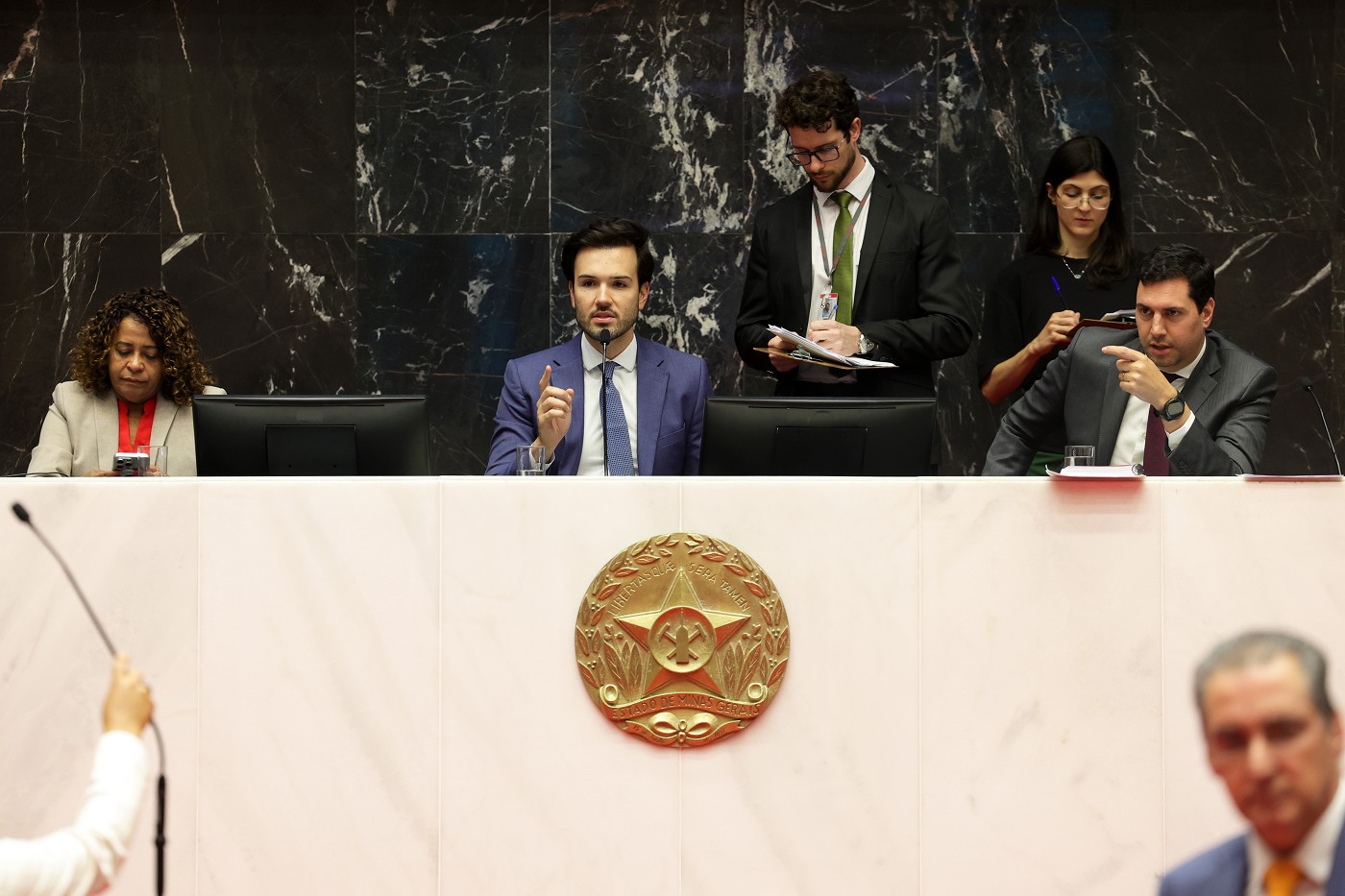 Reunião Ordinária - tarde - análise de proposições