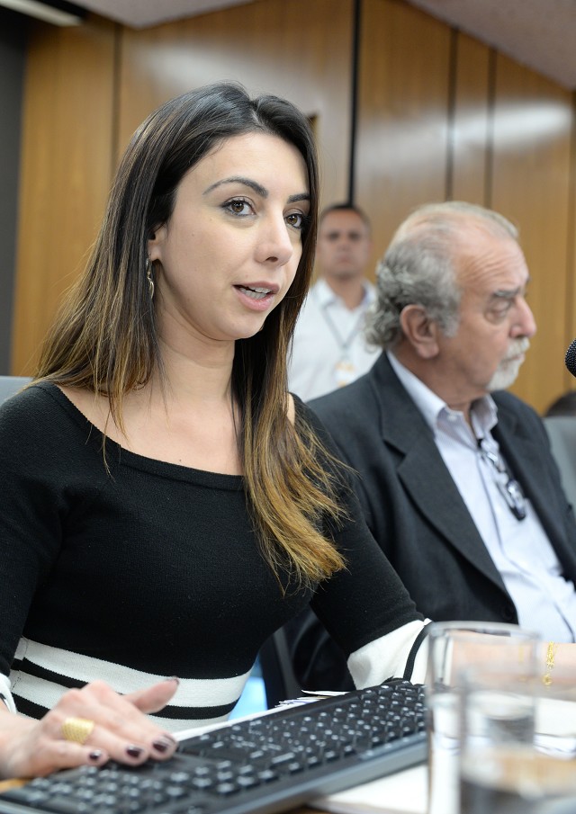 Segundo Monica Lanna, governo está disposto a discutir mudanças na regulamentação