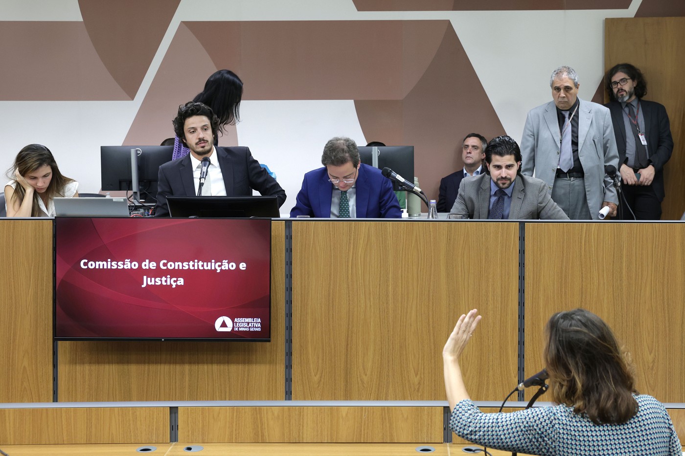 Comissão de Constituição e Justiça - análise de proposições