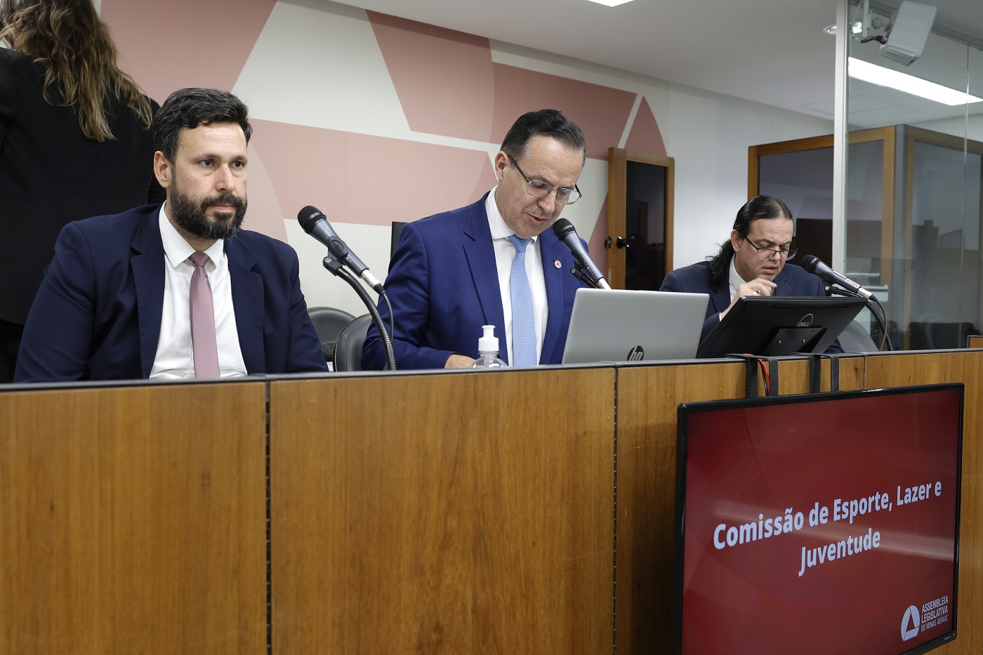 Comissão de Esporte, Lazer e Juventude - análise de proposições