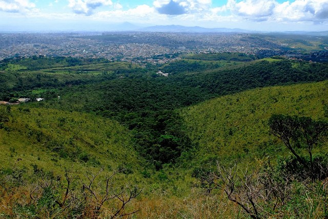 Mata da Baleia
