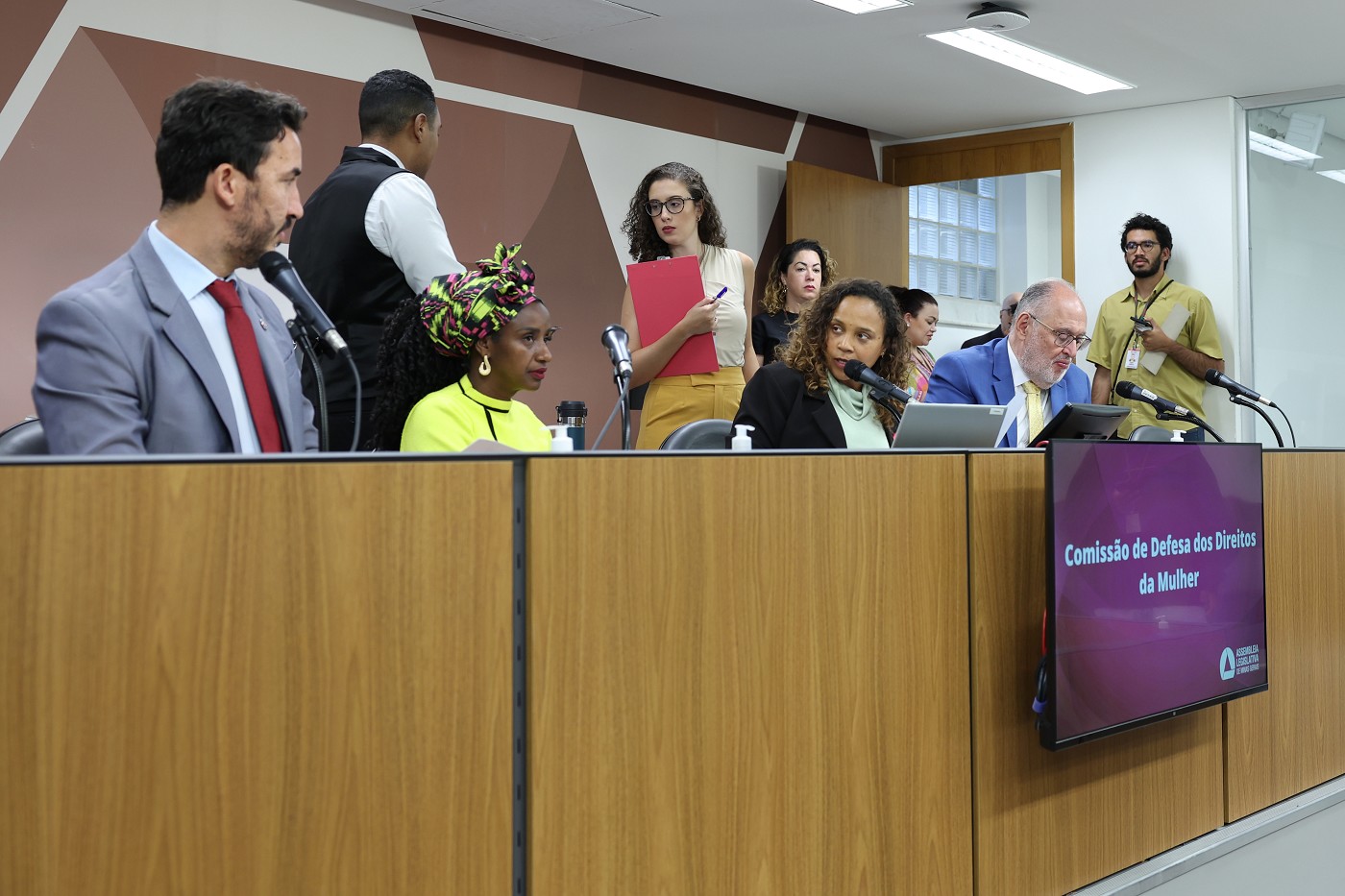 Comissão de Defesa dos Direitos da Mulher - análise de proposições