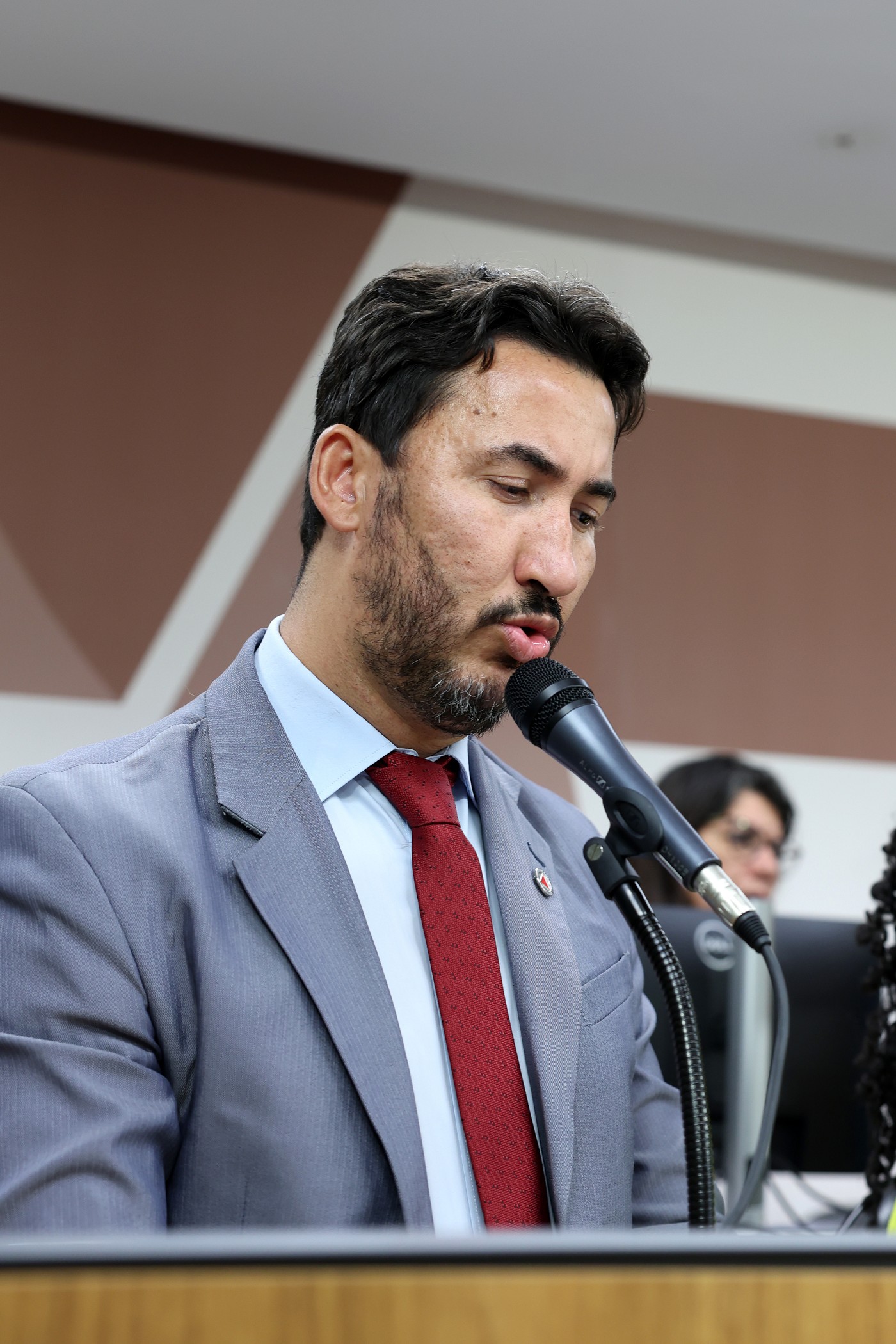 Comissão de Defesa dos Direitos da Mulher - análise de proposições