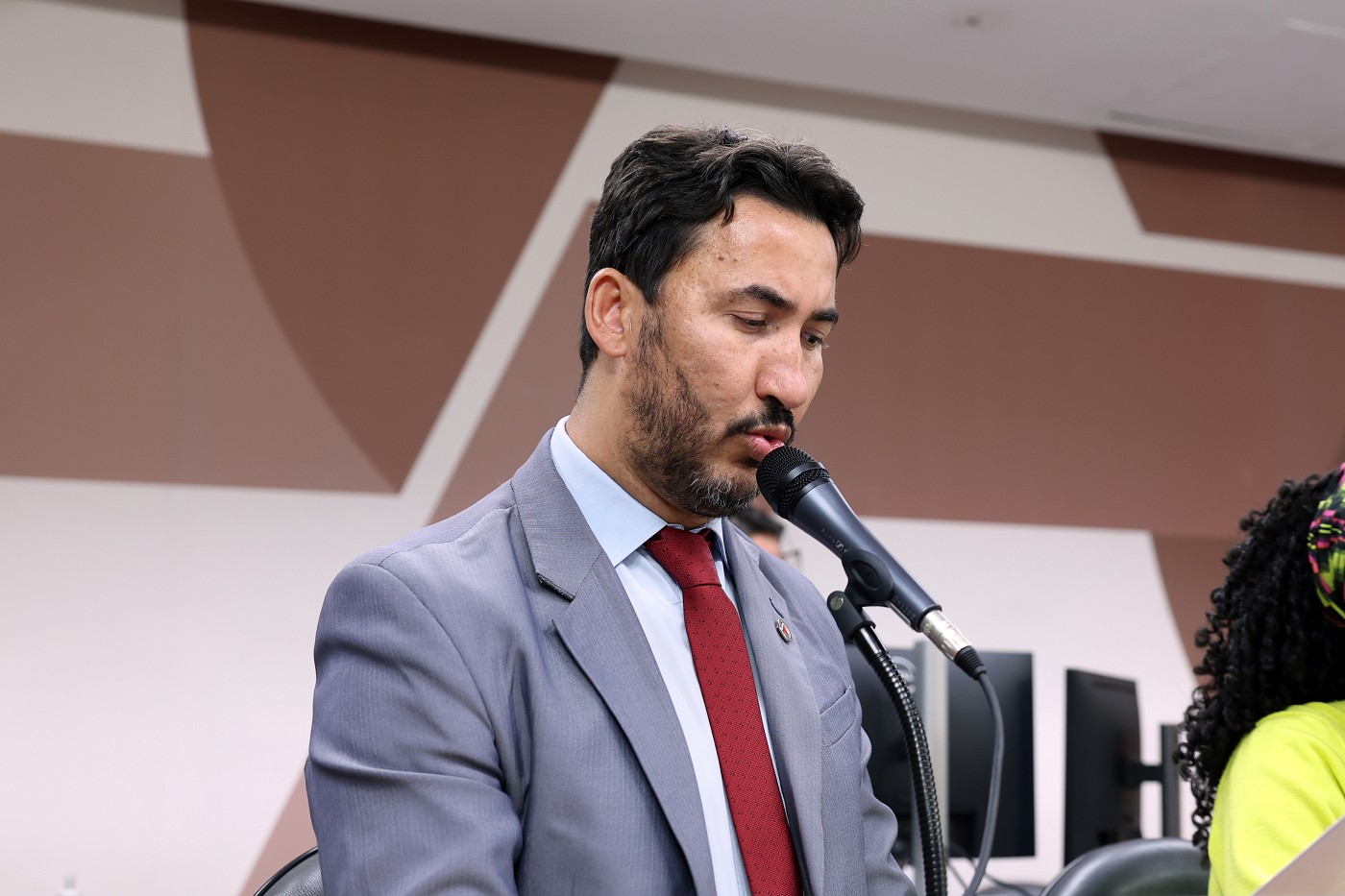 Comissão de Defesa dos Direitos da Mulher - análise de proposições