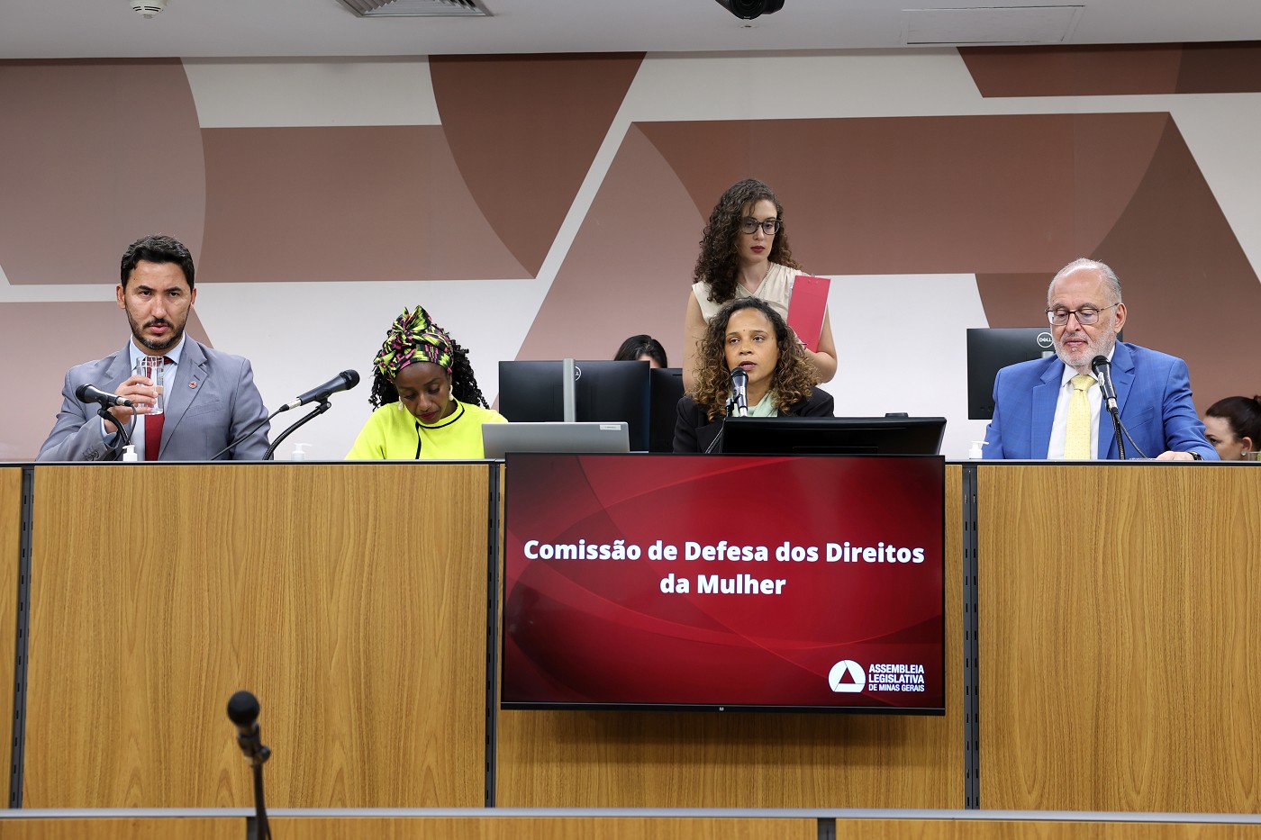 Comissão de Defesa dos Direitos da Mulher - análise de proposições