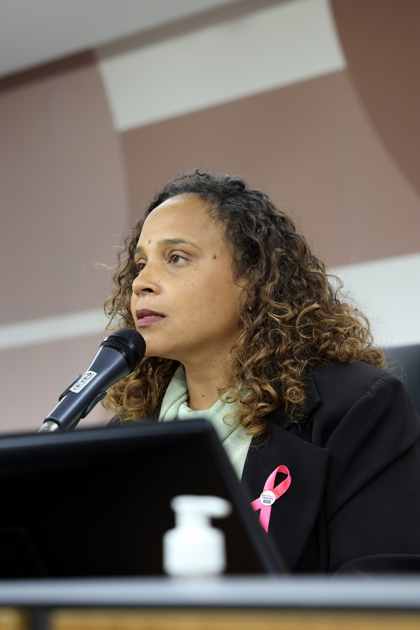 Comissão de Defesa dos Direitos da Mulher - análise de proposições