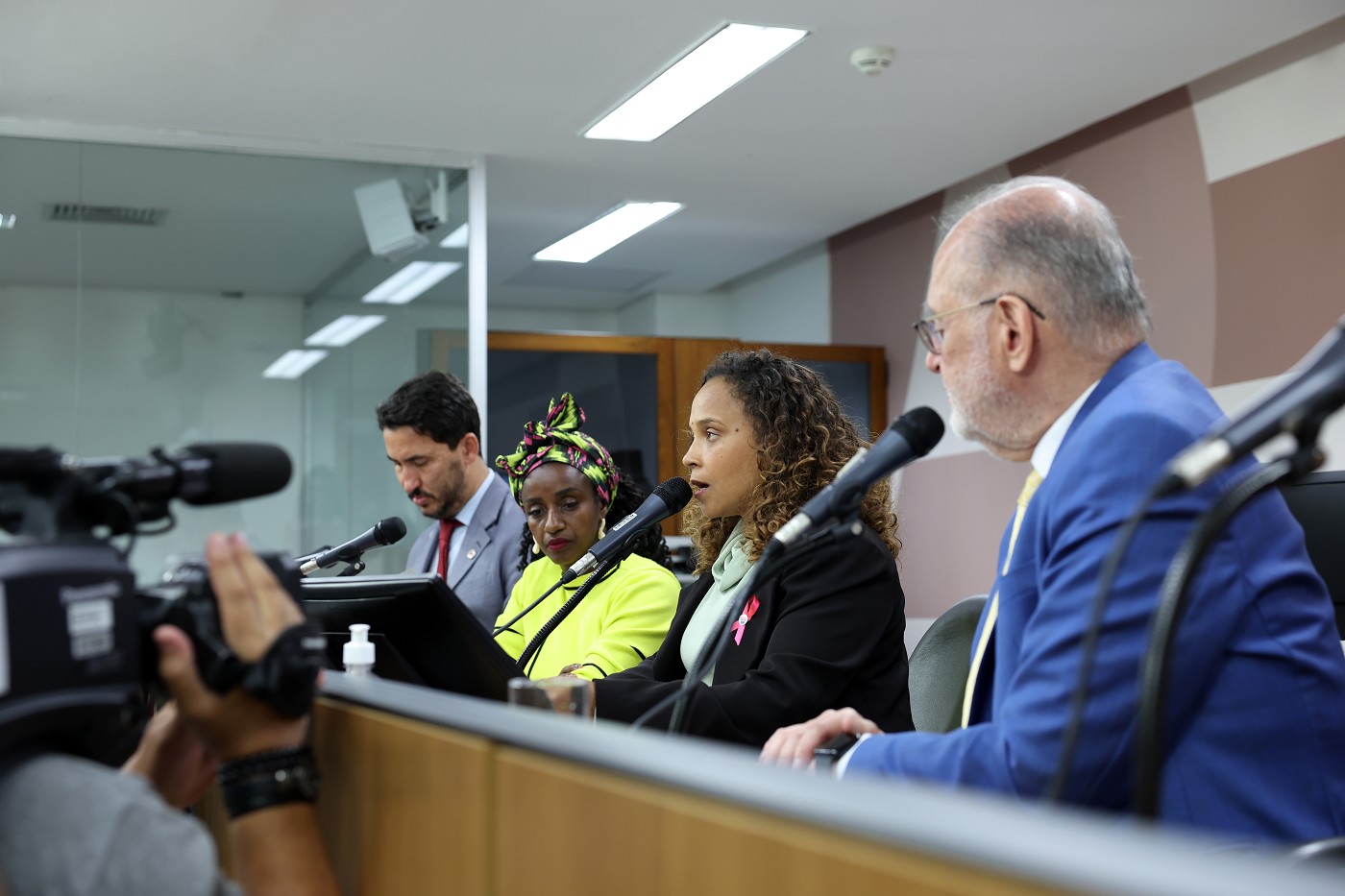 Comissão de Defesa dos Direitos da Mulher - análise de proposições