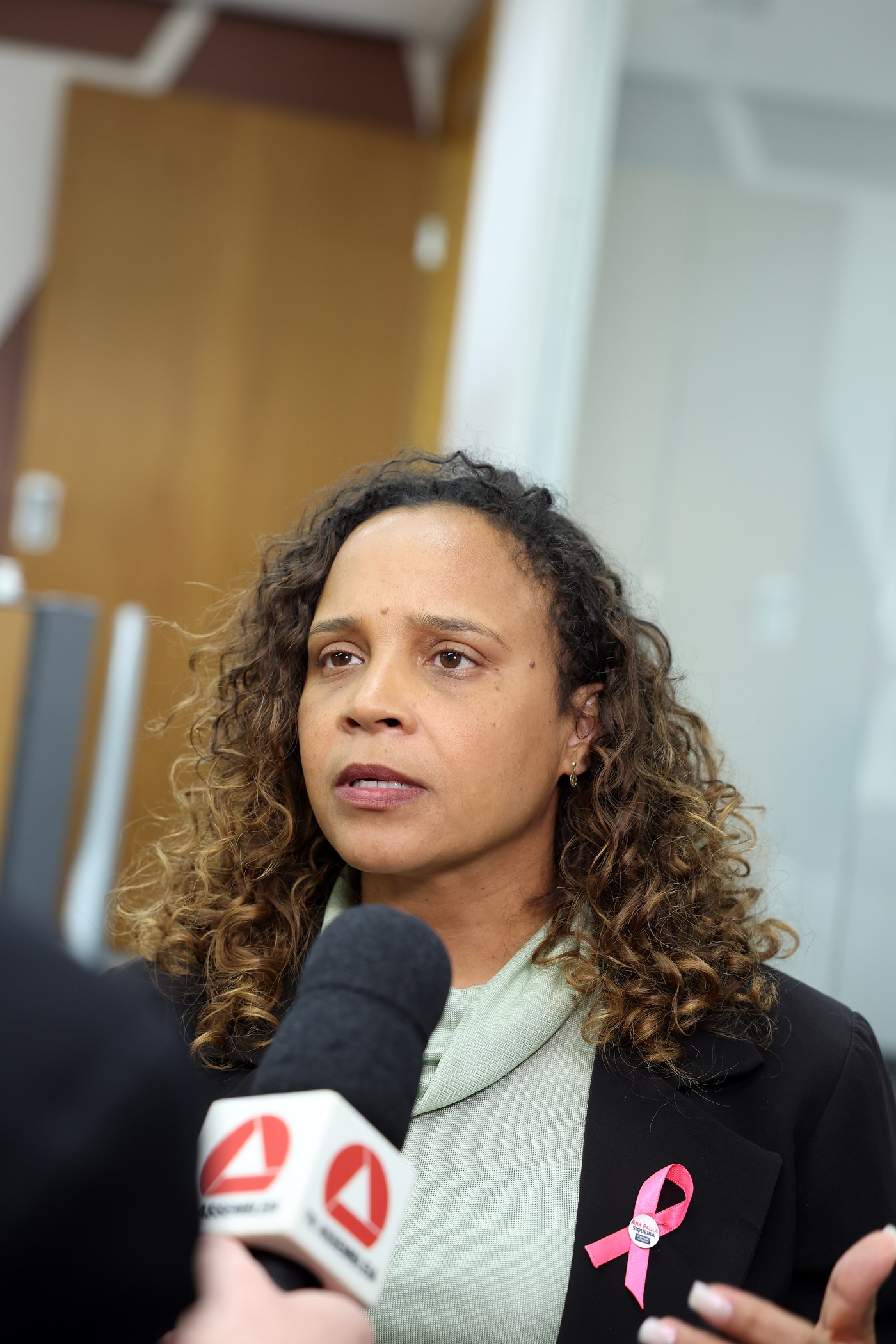 Comissão de Defesa dos Direitos da Mulher - análise de proposições