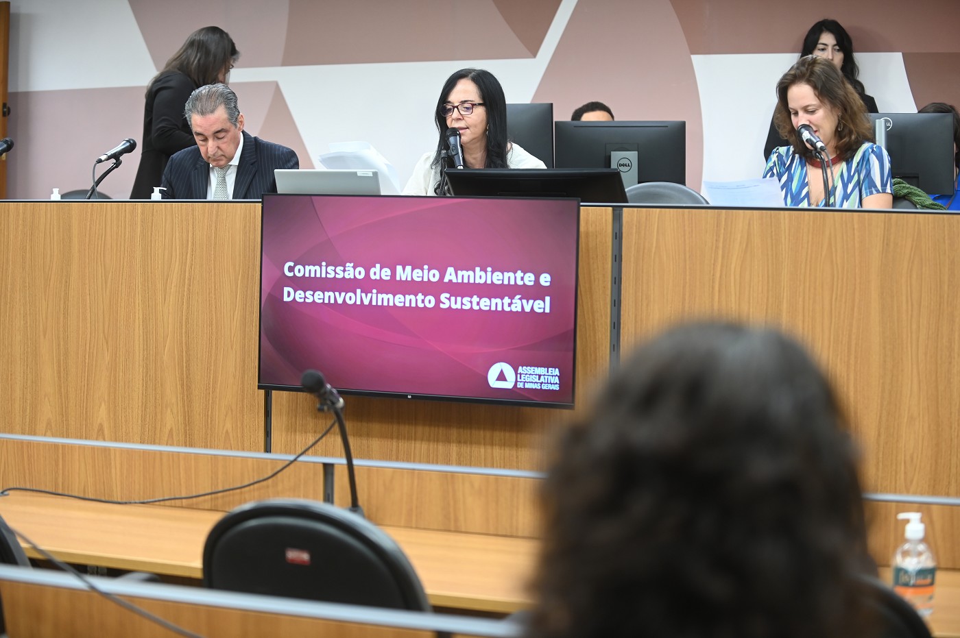 Comissão de Meio Ambiente e Desenvolvimento Sustentável - análise de proposições