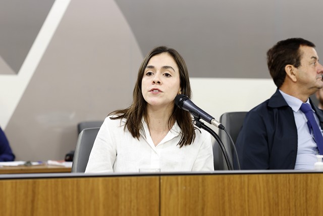 Comissão de Desenvolvimento Econômico - debate sobre inspeção periódica em edificações