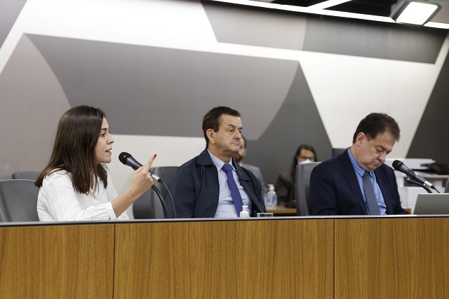 Comissão de Desenvolvimento Econômico - debate sobre inspeção periódica em edificações