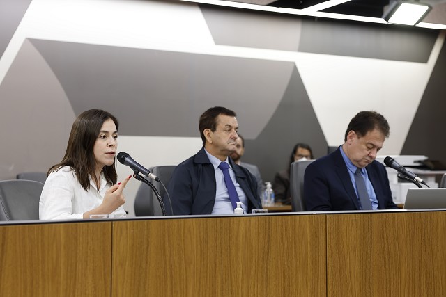 Comissão de Desenvolvimento Econômico - debate sobre inspeção periódica em edificações