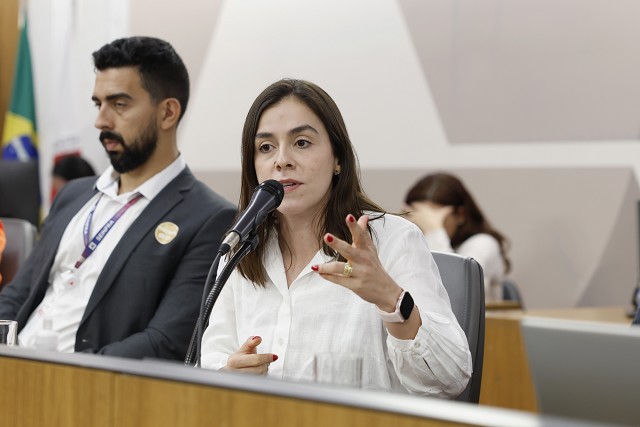 Comissão de Desenvolvimento Econômico - debate sobre inspeção periódica em edificações