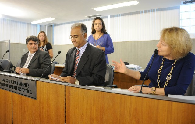 Luzia Ferreira é a nova vice-presidente da Comissão de Meio Ambiente