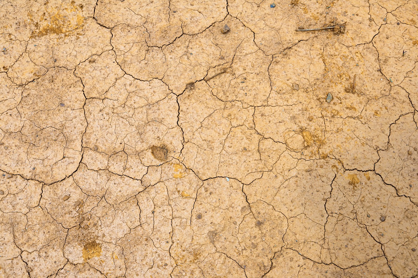 Banco de Imagens - Crise climática