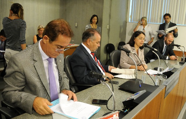 Rosângela Reis ponderou que as alterações trazidas pelo projeto vão onerar o custo de beneficiamento do minério
