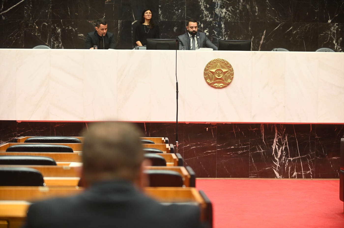 Reunião Ordinária - tarde - análise de proposições