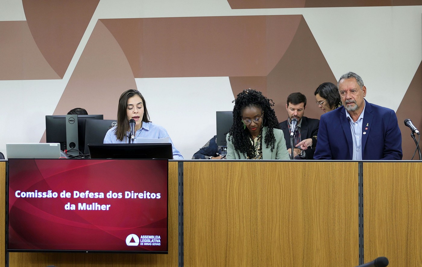 Comissão de Defesa dos Direitos da Mulher - análise de proposições