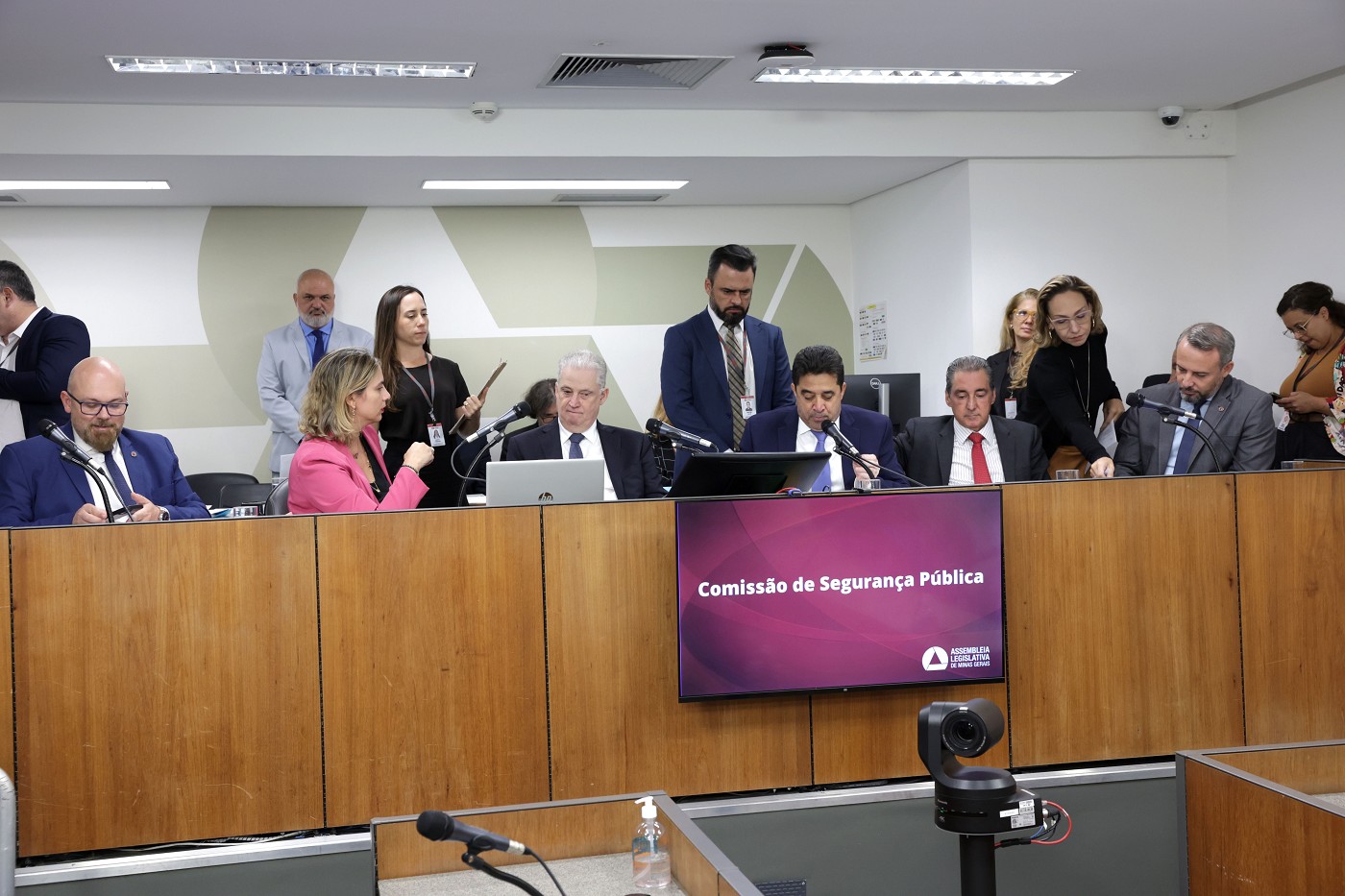 Comissão de Segurança Pública - análise de proposições