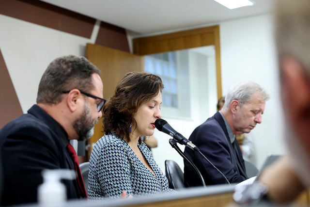 Comissão de Direitos Humanos - análise de proposições