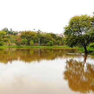 Sul de Minas - Parque com maior diversidade de água do Brasil recebe visita de parlamentares