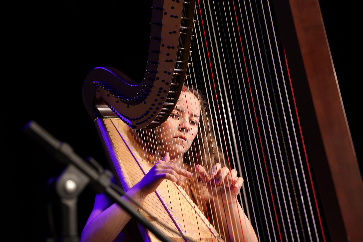 Segunda Musical 2025