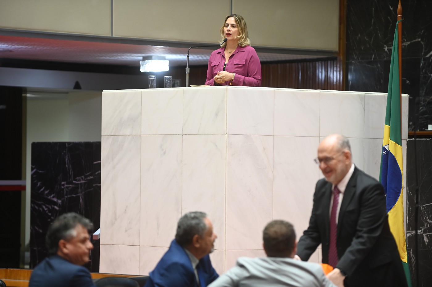 Reunião Ordinária - tarde - análise de proposições