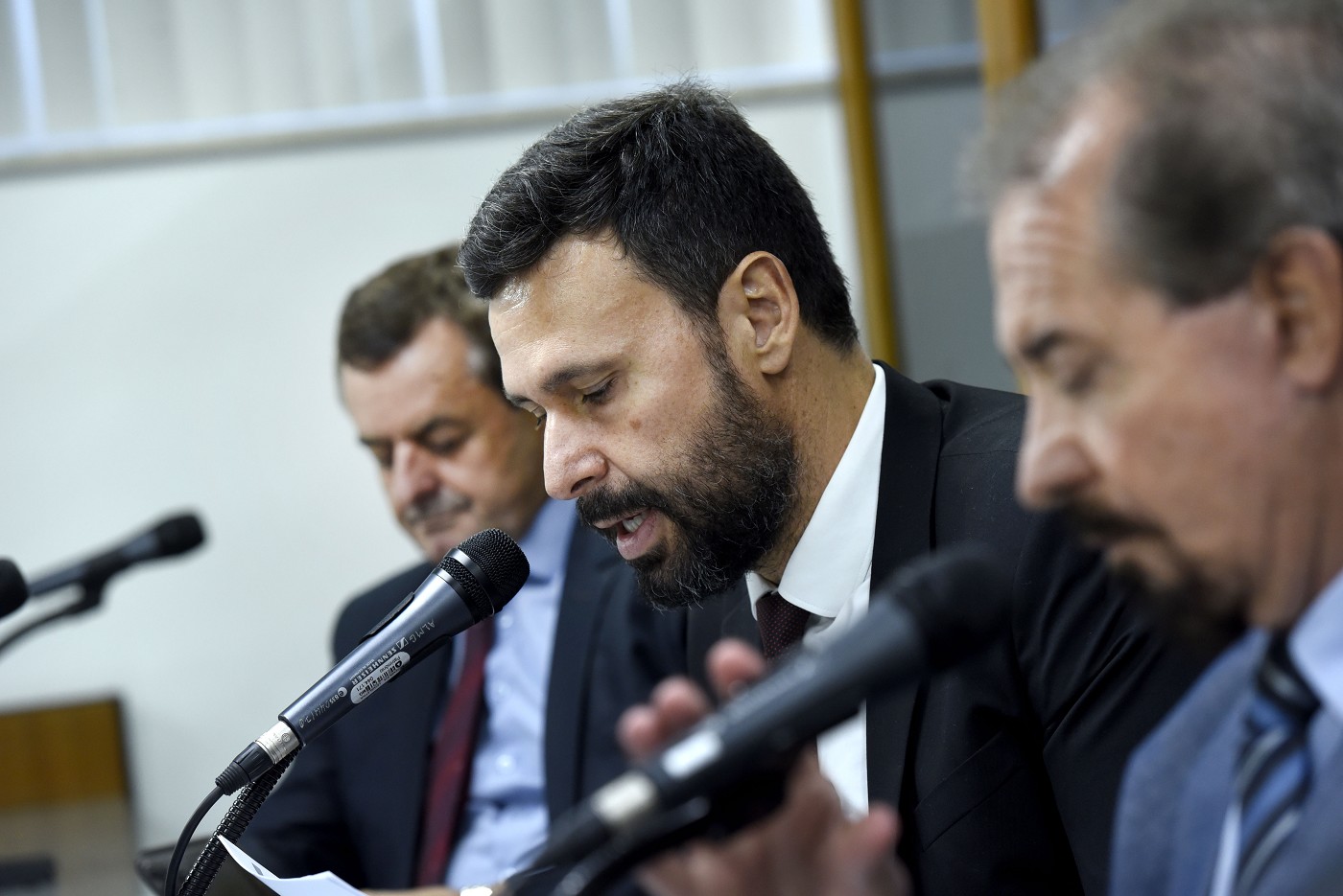 Comissão de Agropecuária e Agroindústria - análise de proposições