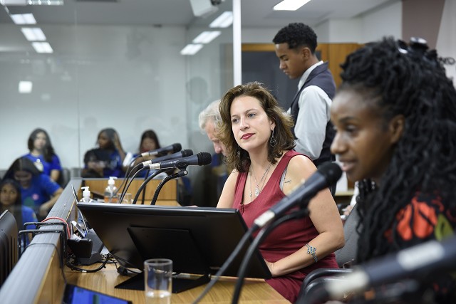 Comissão de Direitos Humanos - análise de proposições