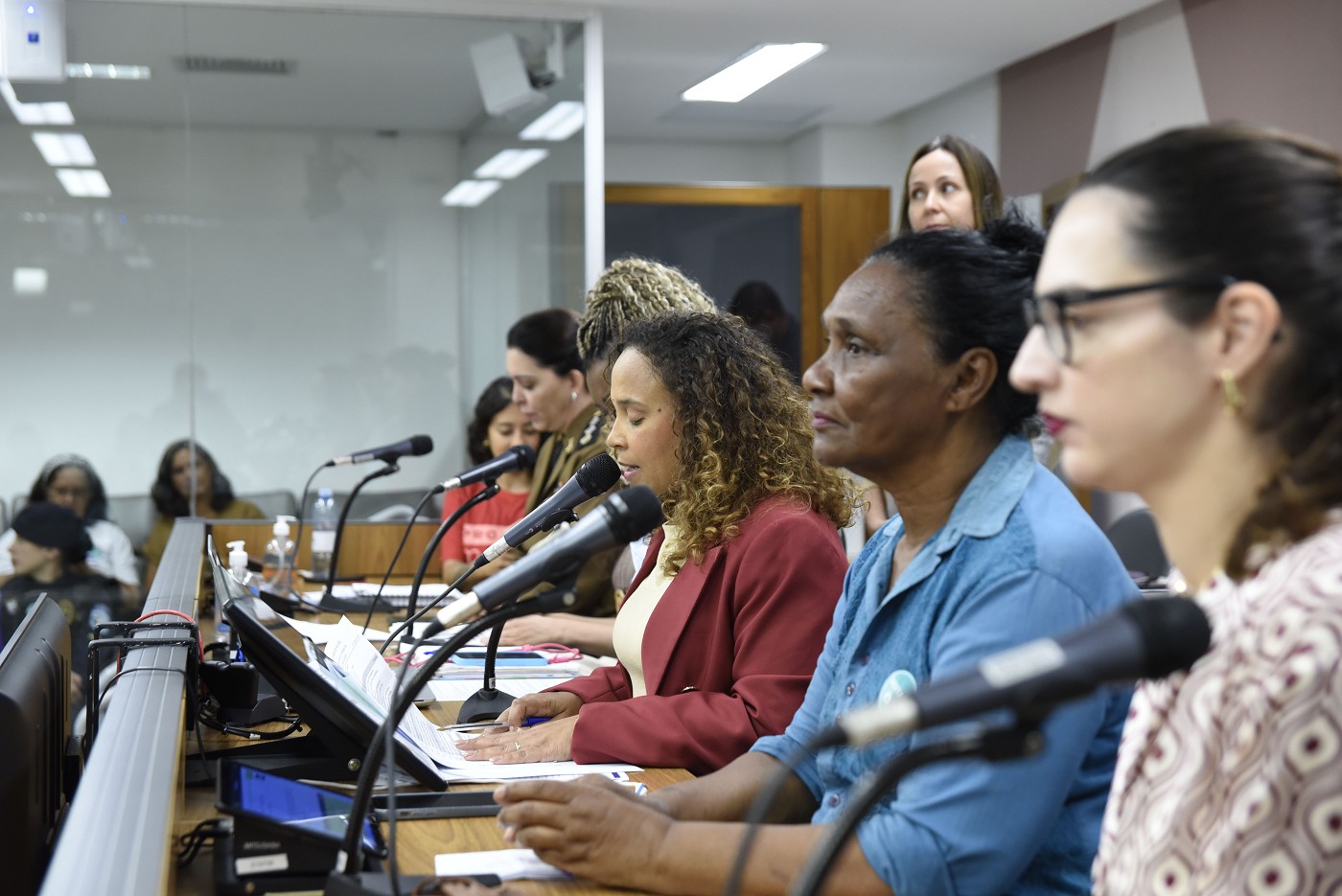Comissão de Defesa dos Direitos da Mulher - debate sobre violência de gênero