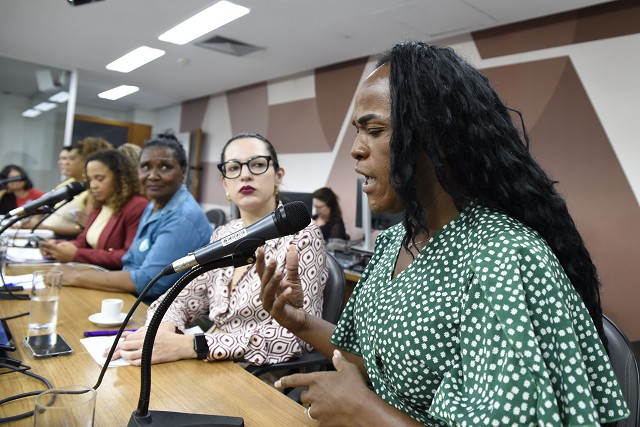 Comissão de Defesa dos Direitos da Mulher - debate sobre violência de gênero