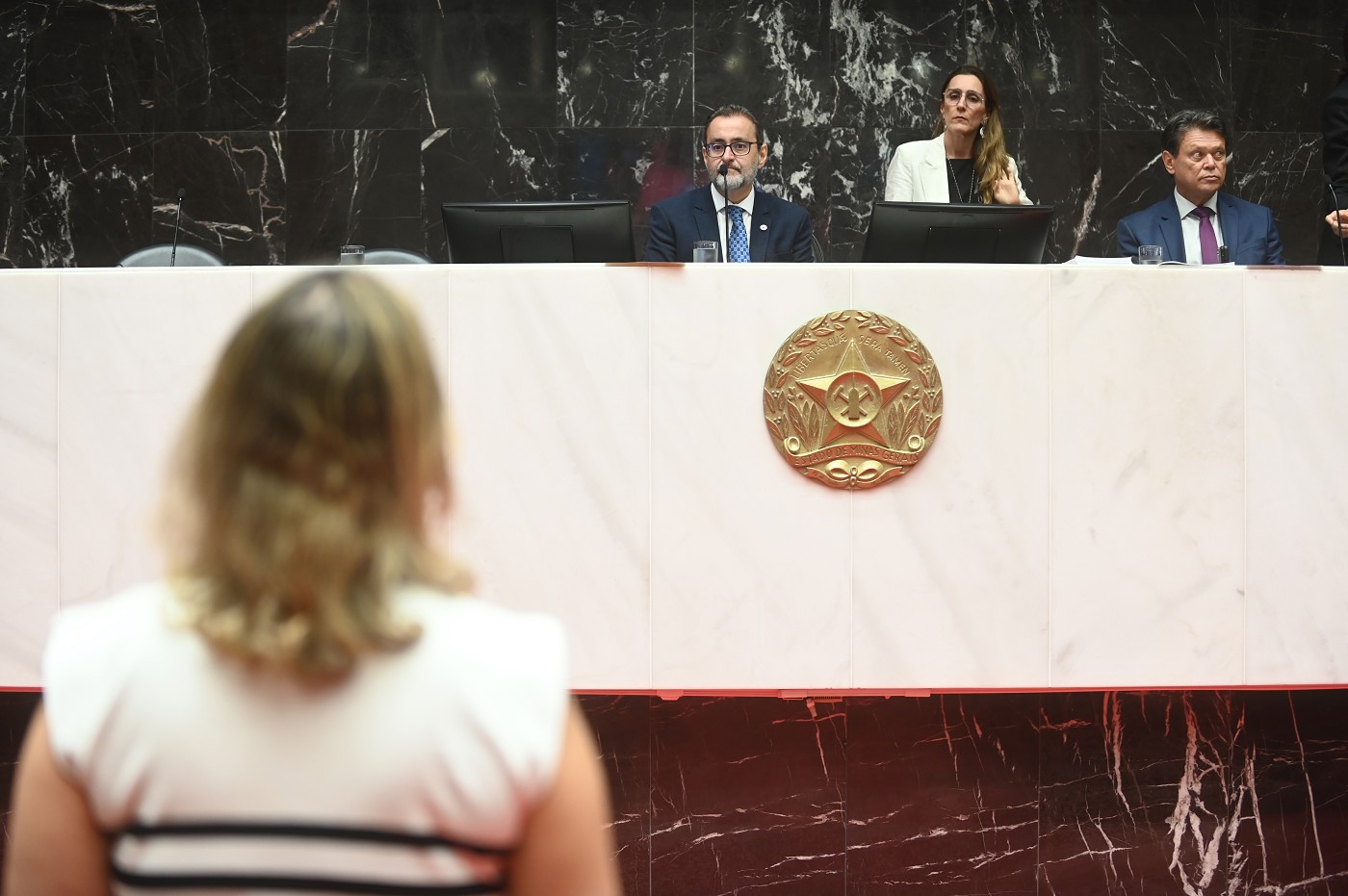 Reunião Ordinária - tarde - análise de proposições