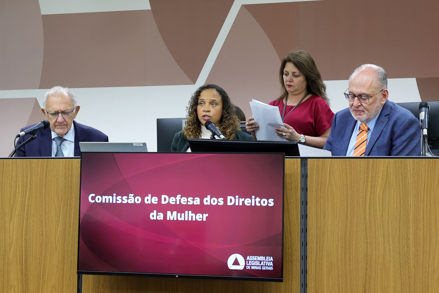 Comissão de Defesa dos Direitos da Mulher - análise de proposições